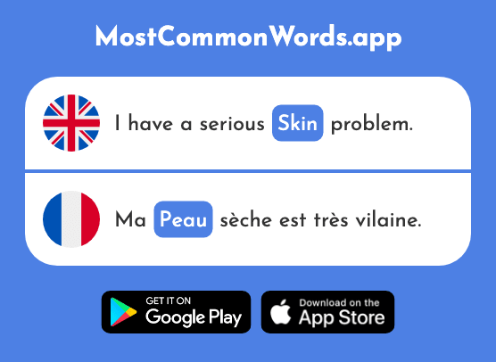 Skin - Peau (The 2122nd Most Common French Word)