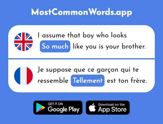 So much - Tellement (The 869th Most Common French Word)
