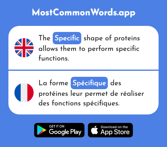 Specific - Spécifique (The 2175th Most Common French Word)