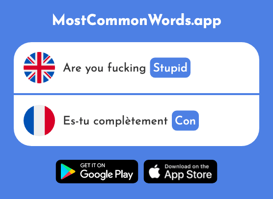 Stupid - Con (The 2817th Most Common French Word)