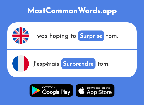 Surprise - Surprendre (The 1053rd Most Common French Word)