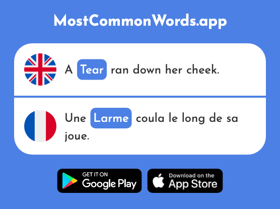 Tear - Larme (The 2853rd Most Common French Word)