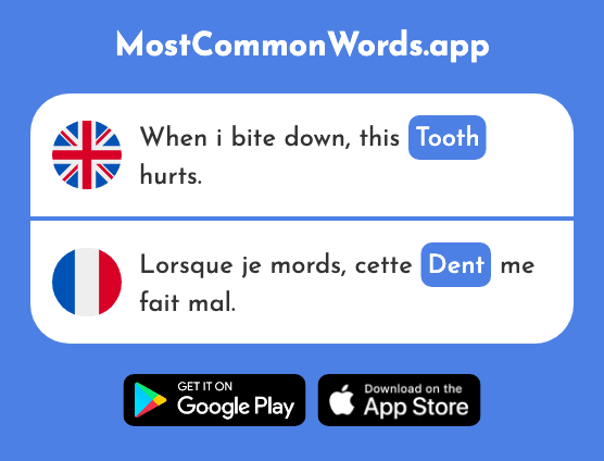 Tooth - Dent (The 2784th Most Common French Word)