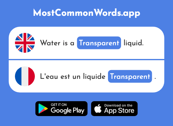 Transparent, see-through, evident - Transparent (The 2953rd Most Common French Word)