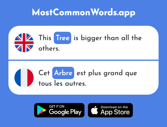 Tree - Arbre (The 2111th Most Common French Word)