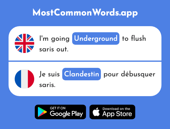 Underground, clandestine - Clandestin (The 2992nd Most Common French Word)