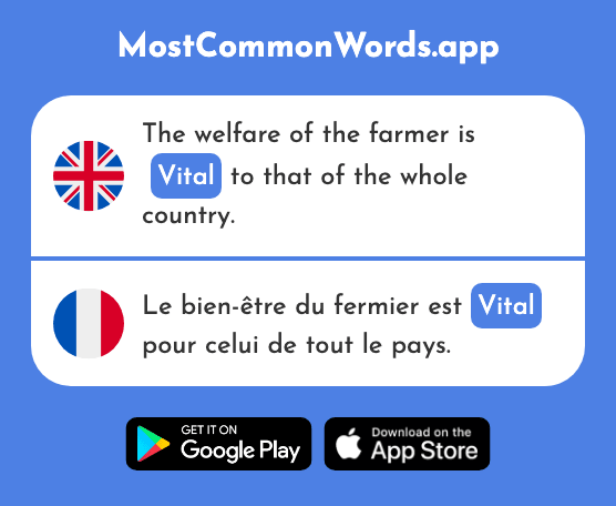 Vital - Vital (The 2528th Most Common French Word)