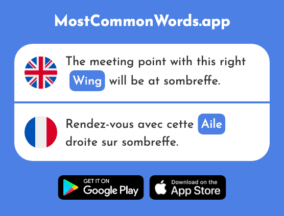 Wing, sail, blade - Aile (The 2923rd Most Common French Word)