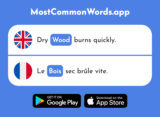 Wood - Bois (The 1425th Most Common French Word)