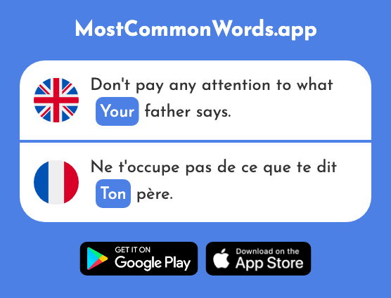 Your, tone - Ton (The 330th Most Common French Word)