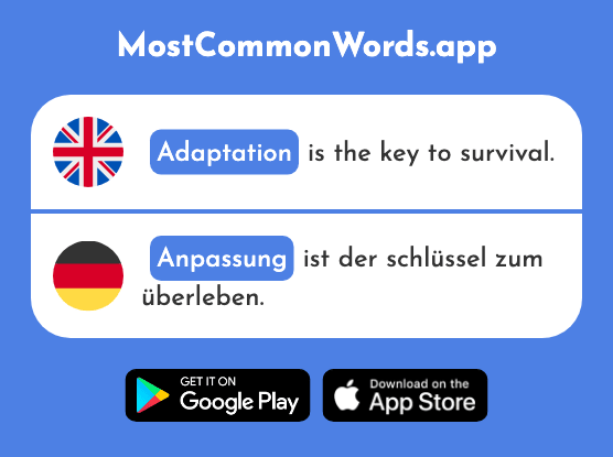 Adaptation - Anpassung (The 2949th Most Common German Word)