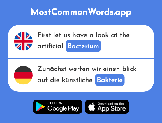 Bacterium - Bakterie (The 1580th Most Common German Word)