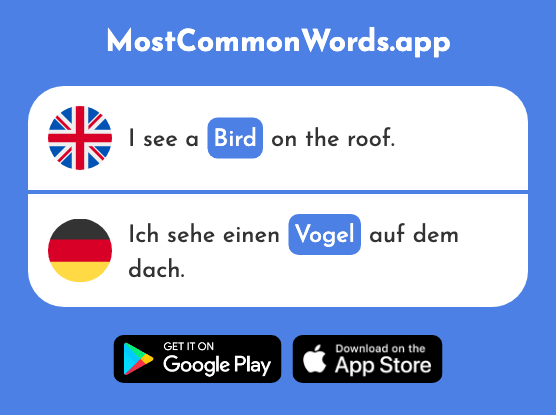 Bird - Vogel (The 1701st Most Common German Word)