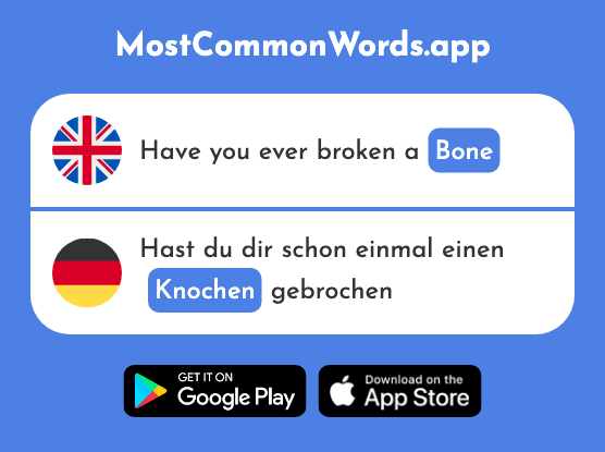 Bone - Knochen (The 1930th Most Common German Word)