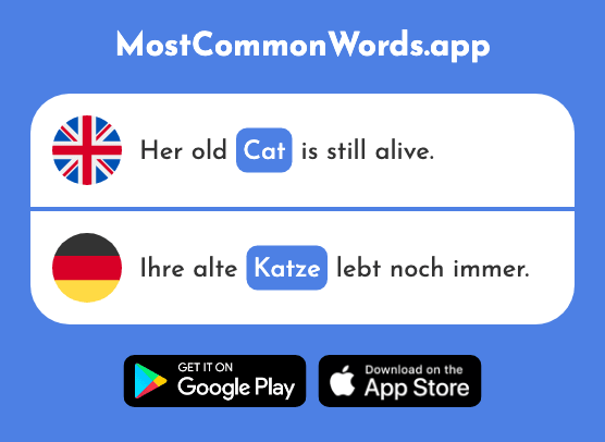 Cat - Katze (The 2235th Most Common German Word)
