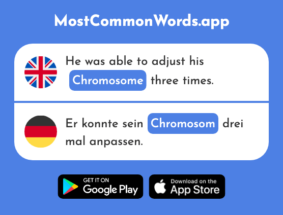 Chromosome - Chromosom (The 2399th Most Common German Word)