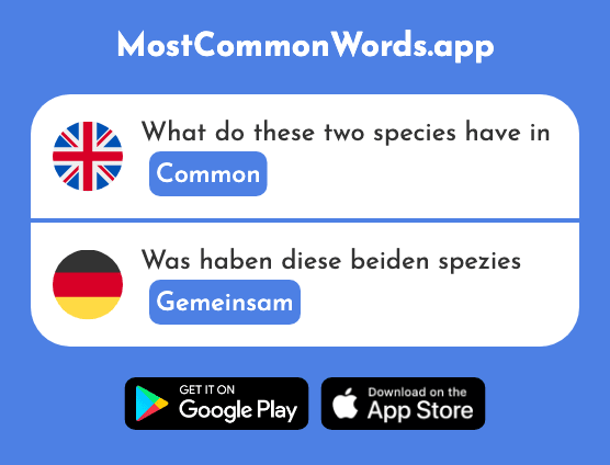 Common, mutual - Gemeinsam (The 295th Most Common German Word)