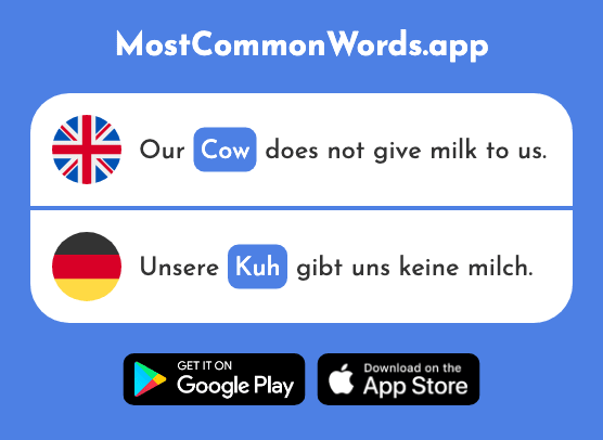 Cow - Kuh (The 2935th Most Common German Word)