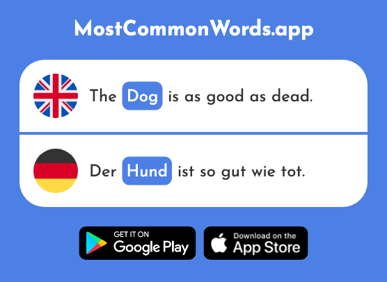 Dog - Hund (The 825th Most Common German Word)