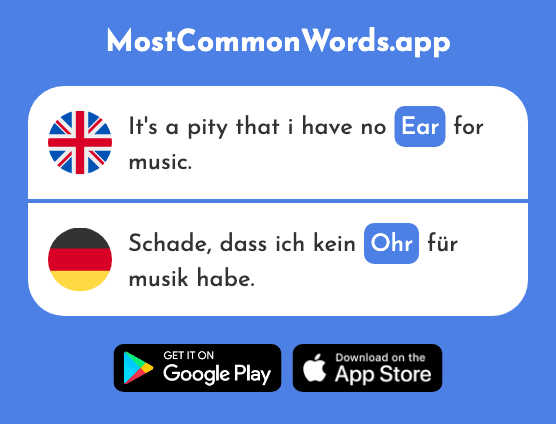Ear - Ohr (The 1088th Most Common German Word)