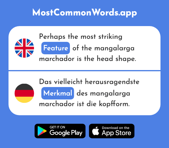 Feature - Merkmal (The 1128th Most Common German Word)