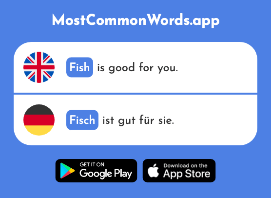 Fish - Fisch (The 1959th Most Common German Word)