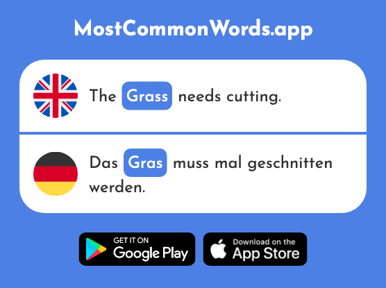 Grass - Gras (The 2779th Most Common German Word)