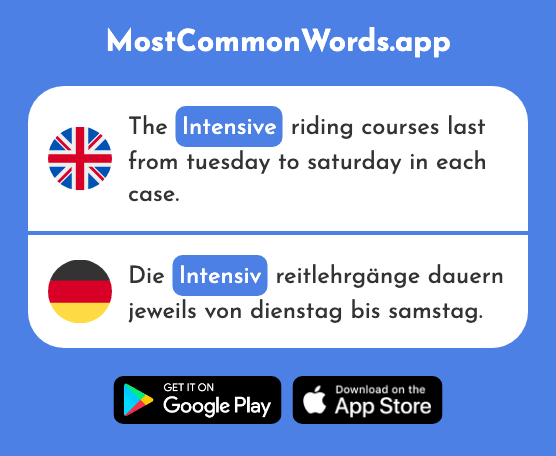 Intensive - Intensiv (The 1344th Most Common German Word)