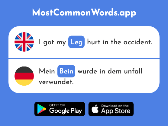 Leg - Bein (The 884th Most Common German Word)