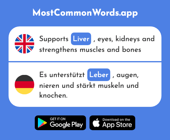 Liver - Leber (The 2120th Most Common German Word)