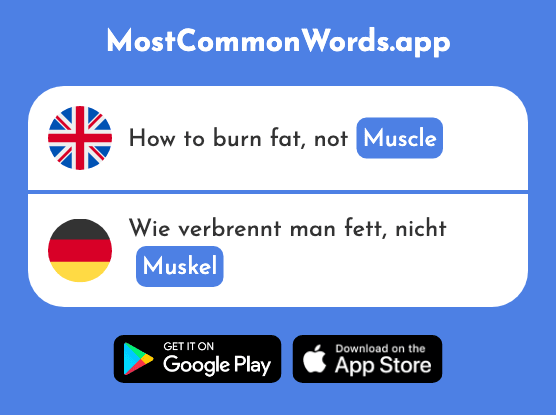 Muscle - Muskel (The 1769th Most Common German Word)