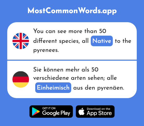Native - Einheimisch (The 2439th Most Common German Word)