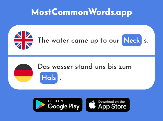 Neck, throat - Hals (The 1591st Most Common German Word)