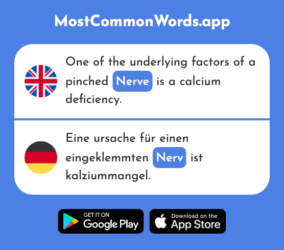 Nerve - Nerv (The 2211th Most Common German Word)