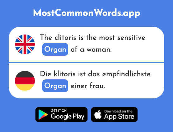 Organ - Organ (The 2204th Most Common German Word)