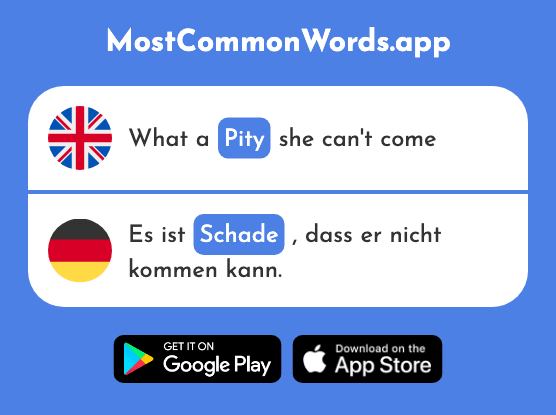 Pity - Schade (The 2788th Most Common German Word)