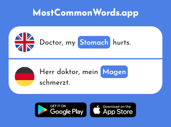 Stomach - Magen (The 2606th Most Common German Word)