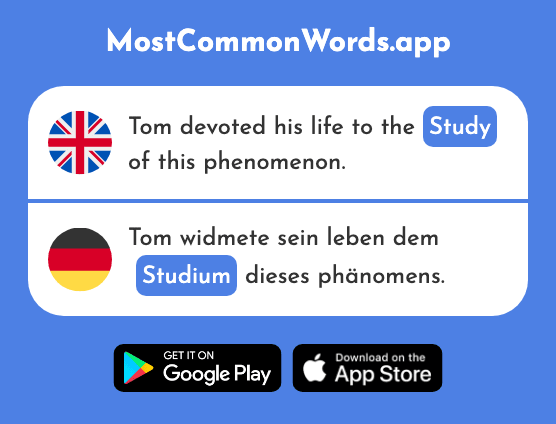 Study, studies - Studium (The 1398th Most Common German Word)