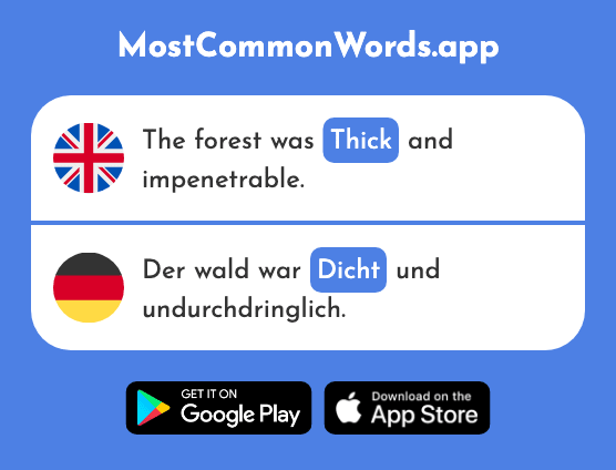 Thick, dense - Dicht (The 1266th Most Common German Word)