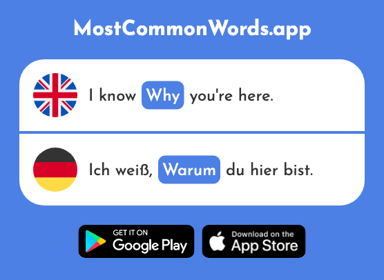 Why - Warum (The 192nd Most Common German Word)