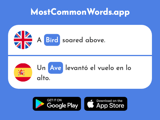 Bird - Ave (The 2086th Most Common Spanish Word)