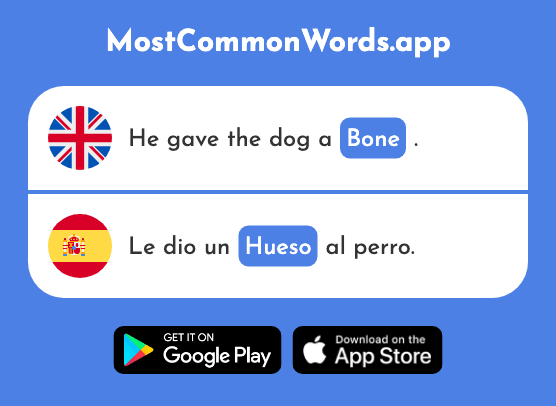 Bone - Hueso (The 1649th Most Common Spanish Word)