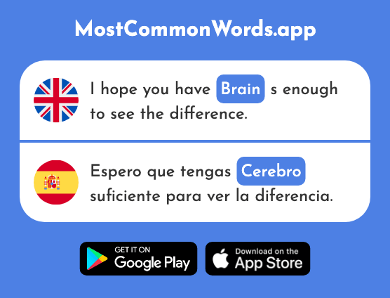 Brain - Cerebro (The 1593rd Most Common Spanish Word)