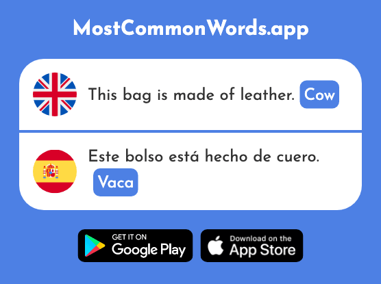 Cow - Vaca (The 2775th Most Common Spanish Word)