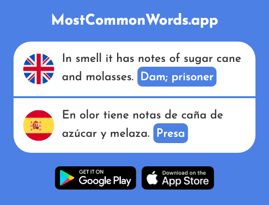 Dam, prisoner - Presa (The 2838th Most Common Spanish Word)