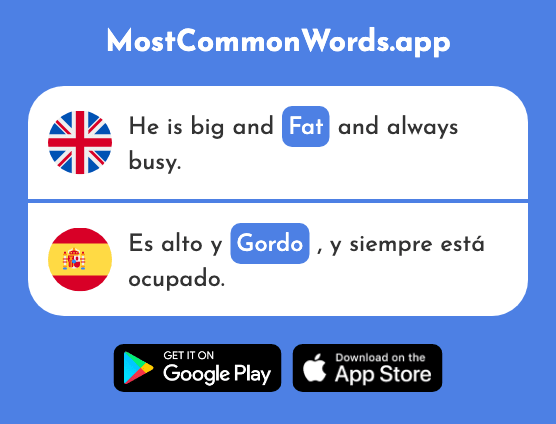 Fat, thick - Gordo (The 1679th Most Common Spanish Word)