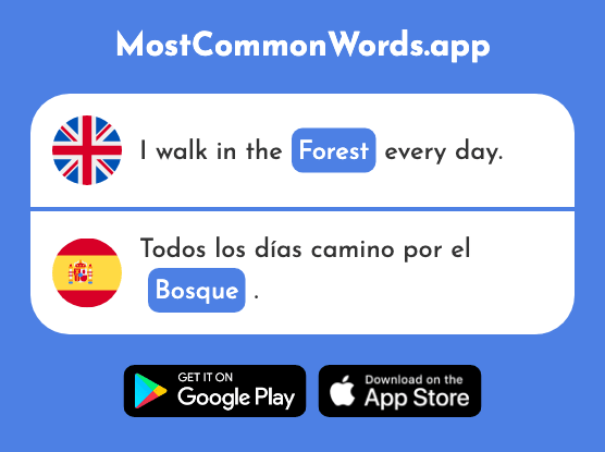 Forest - Bosque (The 1444th Most Common Spanish Word)