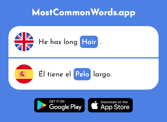 Hair - Pelo (The 873rd Most Common Spanish Word)
