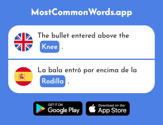 Knee - Rodilla (The 1839th Most Common Spanish Word)