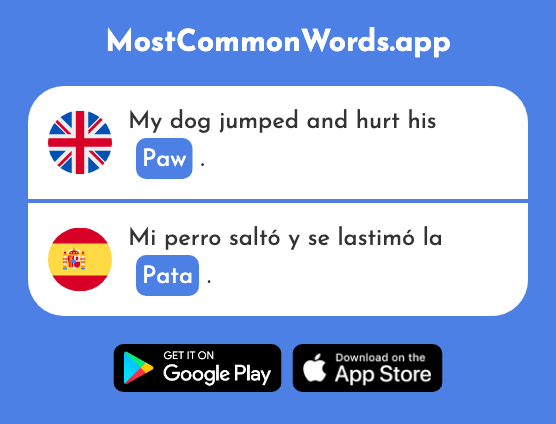Leg, paw - Pata (The 2091st Most Common Spanish Word)